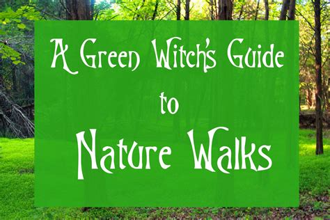 The Joy of Summer Witch Walks: Celebrating Nature's Magic